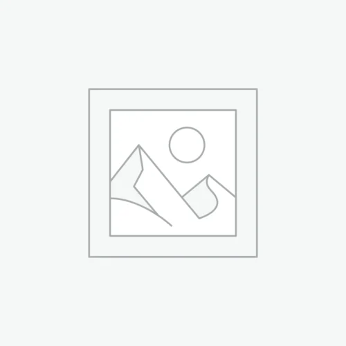 SP2S一代经典通用煙蛋